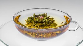 Wir haben die Teevielfalt